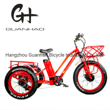 24inch Fat Tire Adult 3wheel 48V1000W China Tricycle OEM CE Cpsc En15194 21ah 3 Wheel Cargo Electric Bicycle